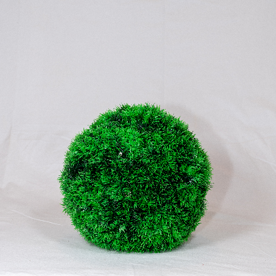 DIANTHUS (BALL SHAPE)